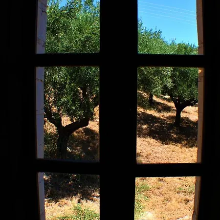 Tsivouli Lithakia (Zakynthos)