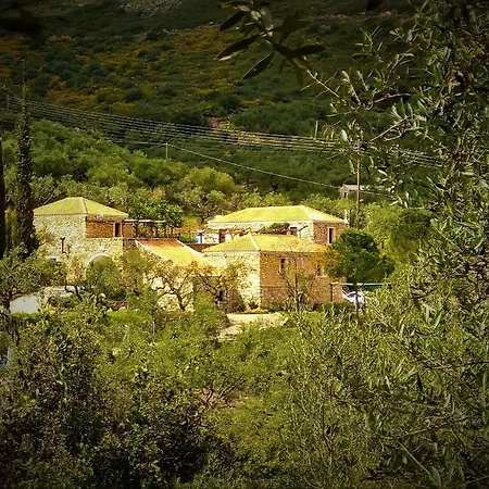 Tsivouli