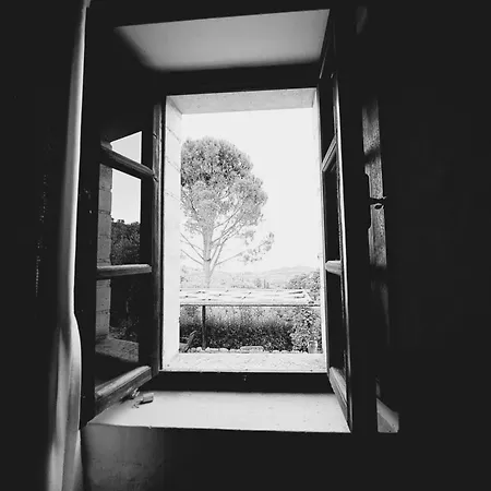 Tsivouli 3* Lithakia (Zakynthos)