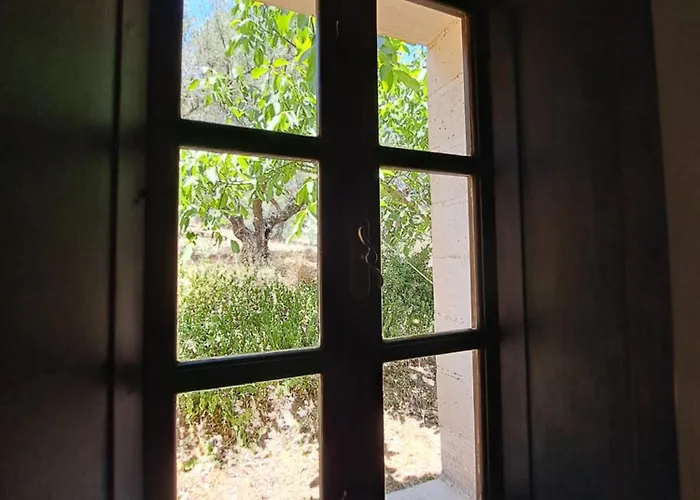 Tsivouli