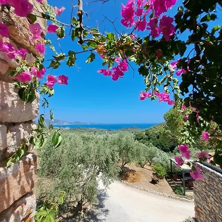 Tsivouli *
